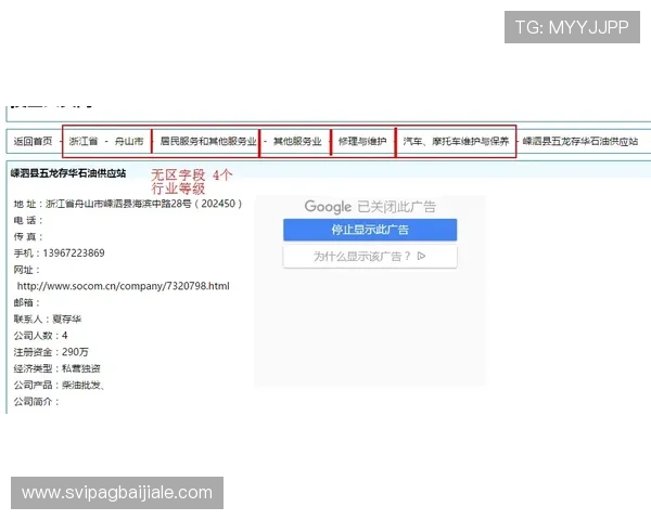 亚星百家官网网址登录流程详解，帮助新手玩家顺利完成账号登录和游戏体验
